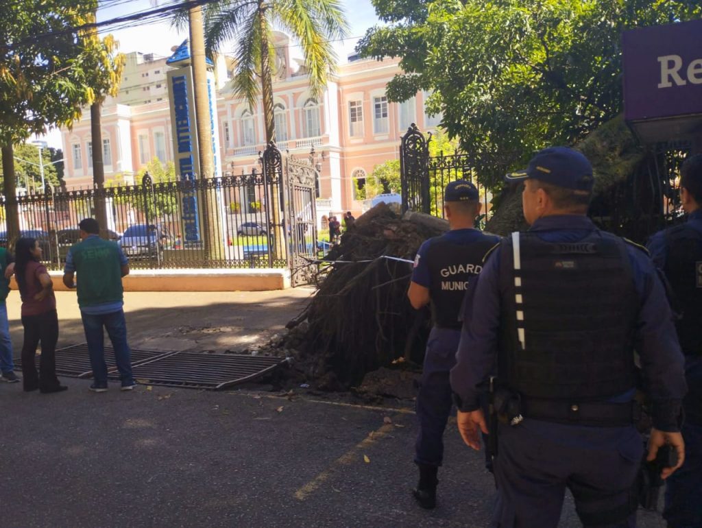 Além da Semma, equipes da Guarda Municipal e da Semob atuam para normalizar a situação após a queda da árvore