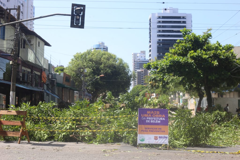 Vários trechos do centro da cidade foram interditados para o trabalho de retirada das árvores que caíram durante o vendavalda noite anterior